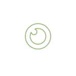 Icon_vision icon